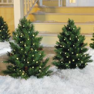 cheap real christmas trees eSTR